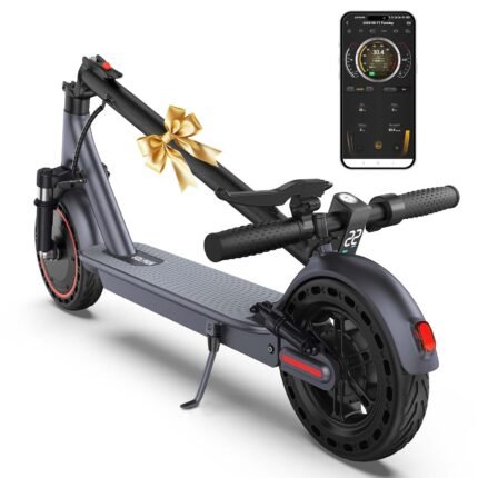 VOLPAM 10 Inches 500W Adult Electric Scooter with Dual Suspensions